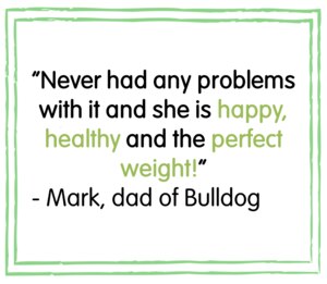 Eukanuba Large Breed puppy food